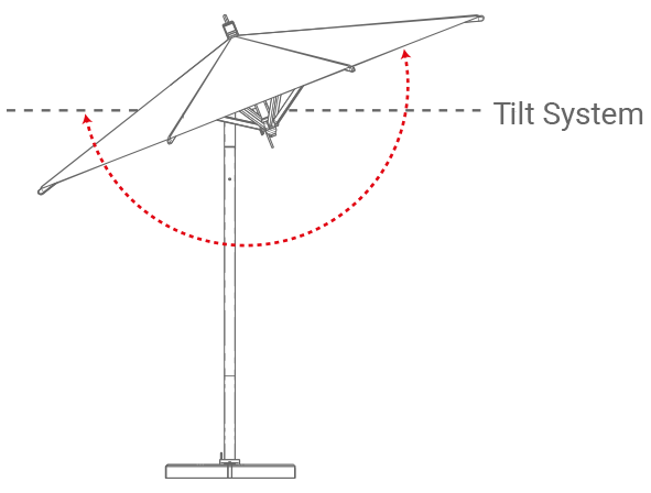 Swift - Image 2