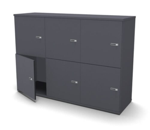 Evolution Tall Locker 6-Door